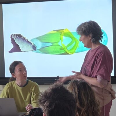 02 EA Olot Fotografia Audiovisuals Faberllull.jpeg 02 EA Olot Fotografia Audiovisuals Faberllull.jpeg